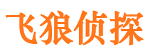 崇文市侦探调查公司